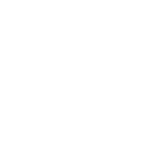 Challa Group – Committed to Excellence